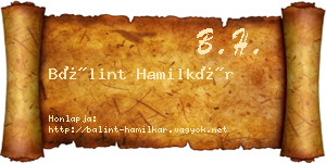 Bálint Hamilkár névjegykártya